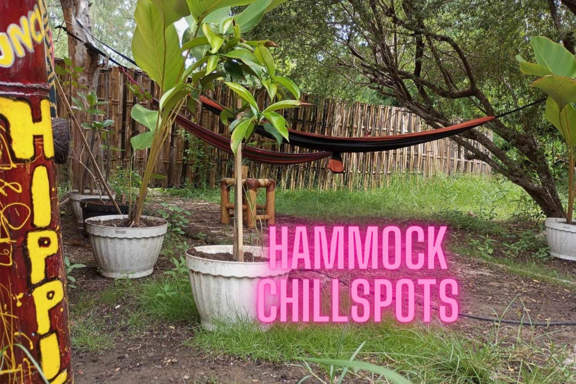 Uncle Hippie'S Dream Pansiyon Gili Meno Dış mekan fotoğraf