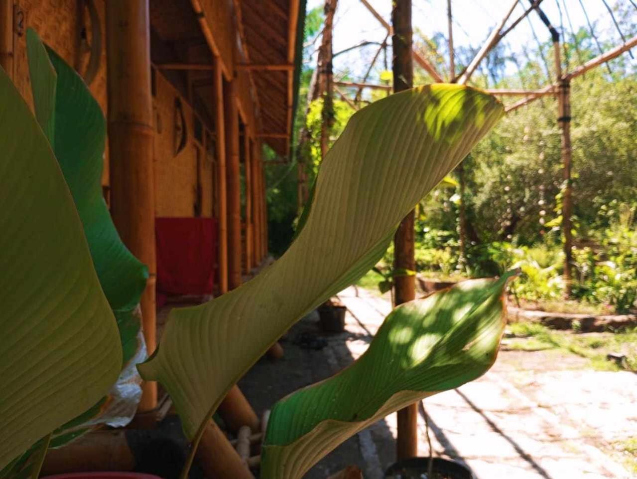 Uncle Hippie'S Dream Pansiyon Gili Meno Dış mekan fotoğraf