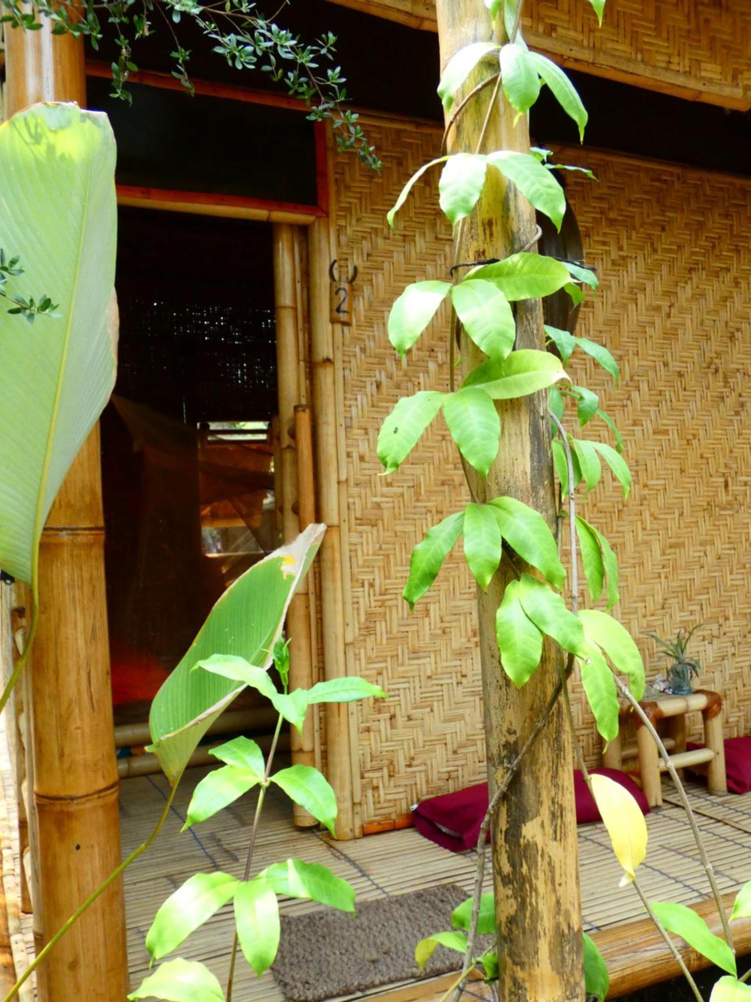 Uncle Hippie'S Dream Pansiyon Gili Meno Dış mekan fotoğraf